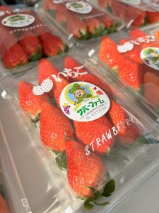 サバーファームのいちご